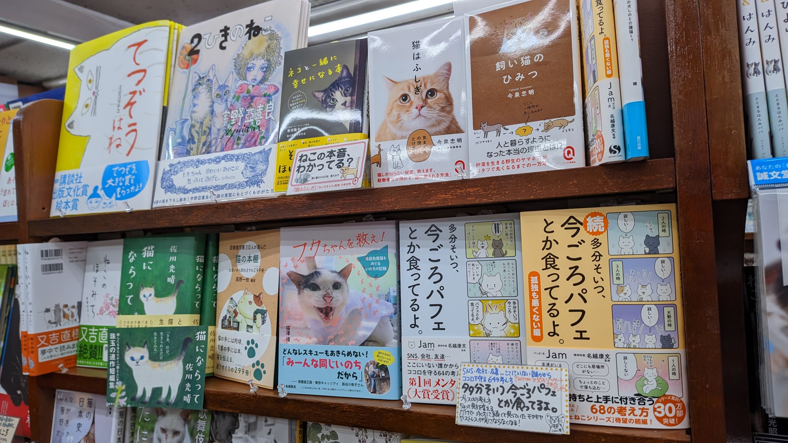 Japanische Buchhandlung – Schaufenster mit Büchern